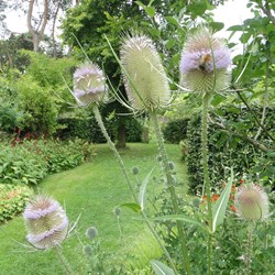 Ecologische tuinarchitectuur